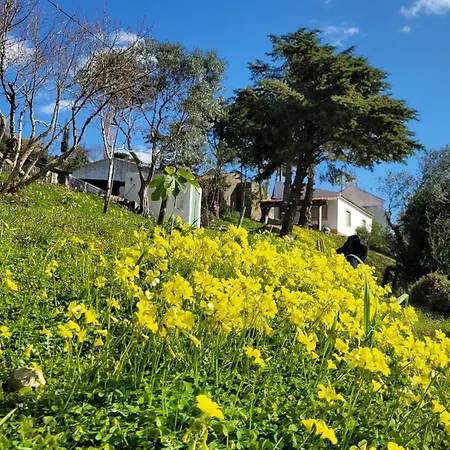 فندق مبيت وإفطار House Of Moitelas