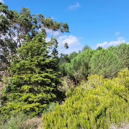 House Of فندق مبيت وإفطار 4*