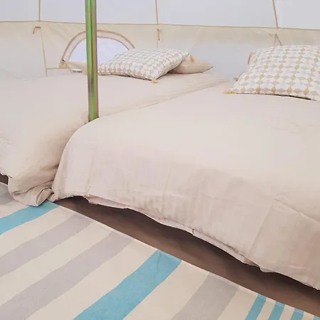 Bed and Breakfast House Of 3*