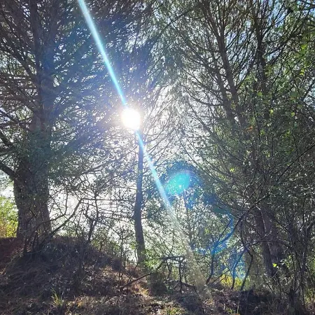 فندق مبيت وإفطار House Of Moitelas