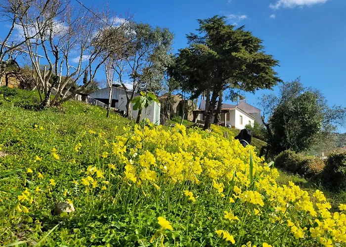 Bed & Breakfast House Of Moitelas